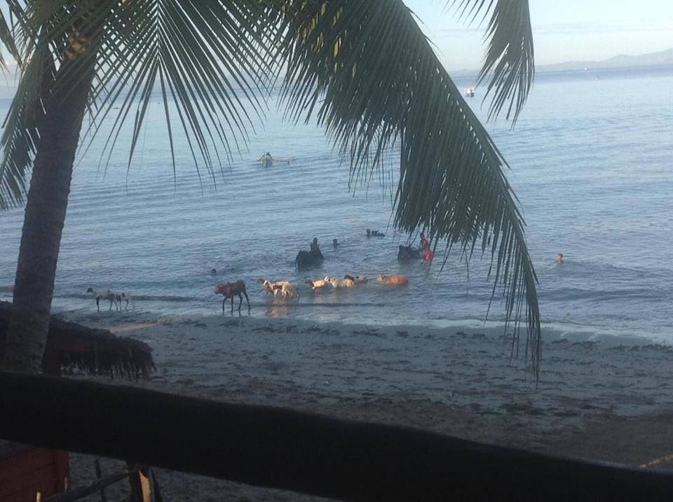 Villa Mena Nosy-Be エクステリア 写真