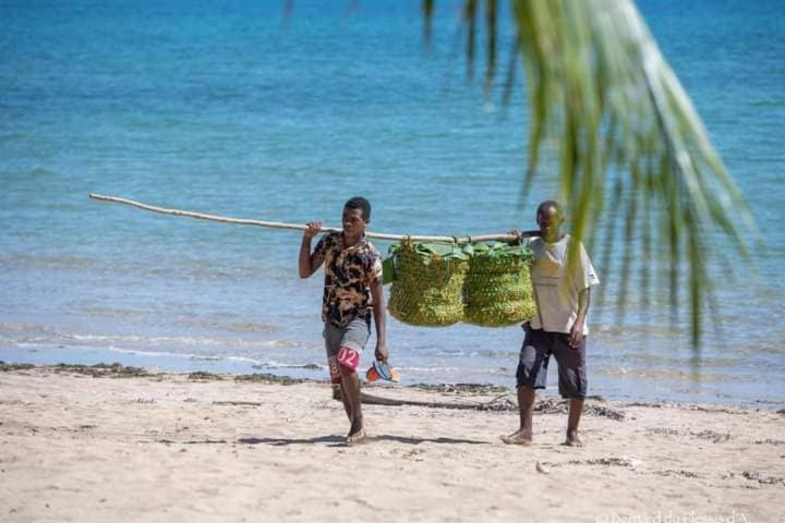 Villa Mena Nosy-Be エクステリア 写真